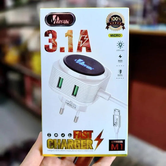 Fast Charger 3.1A